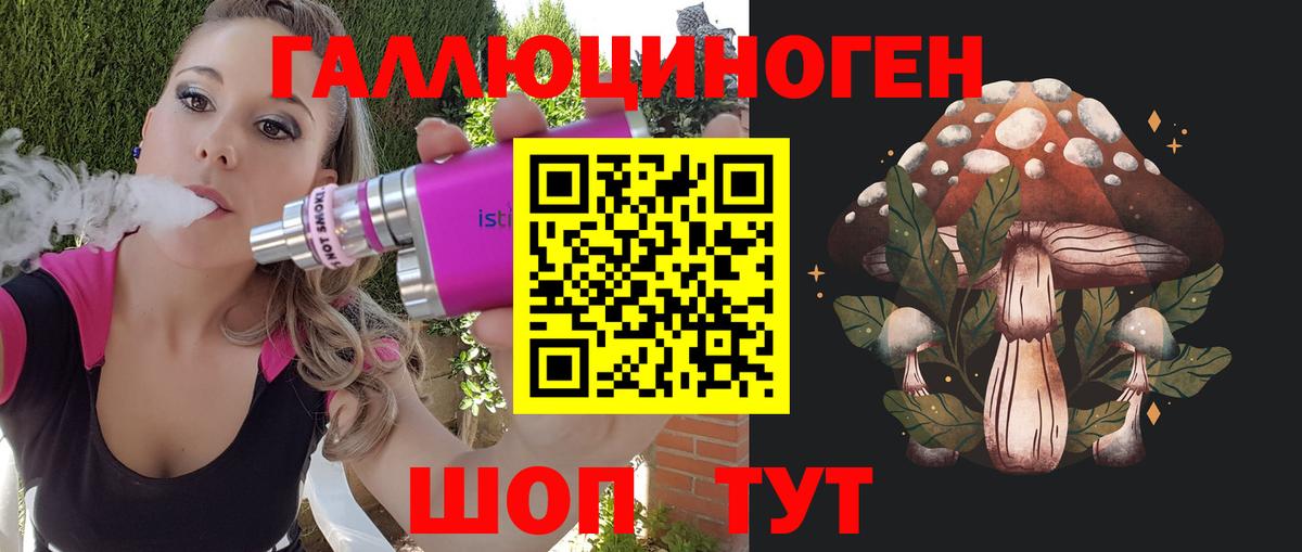 Псилоцибиновые грибы Psilocybe  Вход с VPN  Торжок 